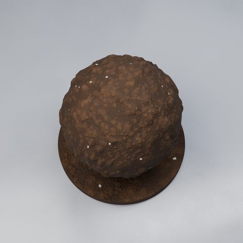 Shader ball: organic potting soil
